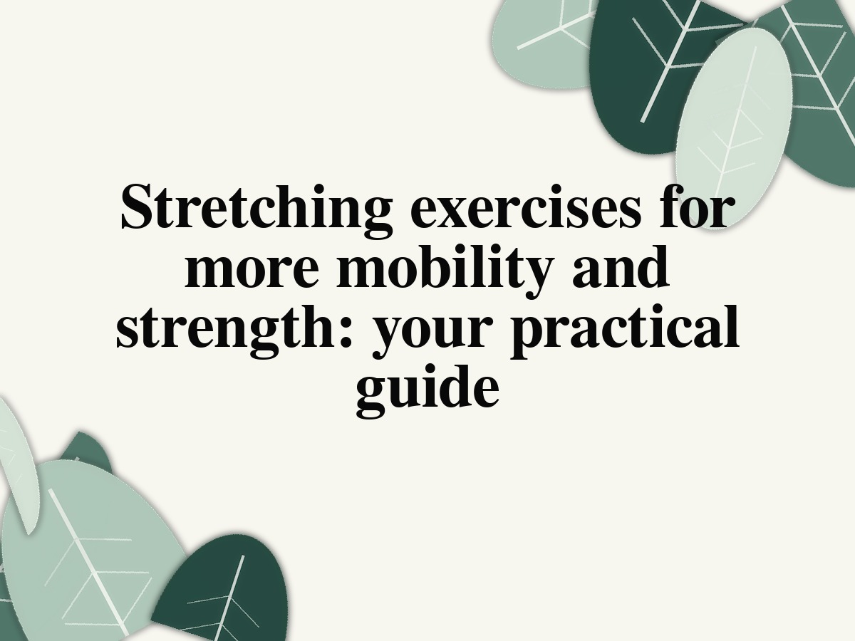 Stretching exercises for more mobility and strength: your practical guide