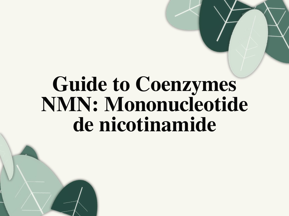 Guide to Coenzymes NMN: Mononucleotide de nicotinamide