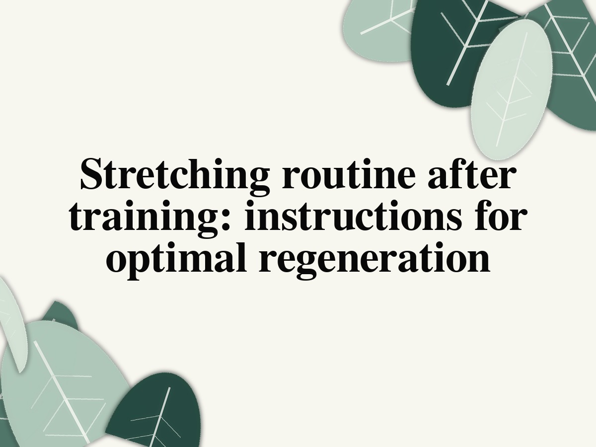 Stretching routine after training: instructions for optimal regeneration
