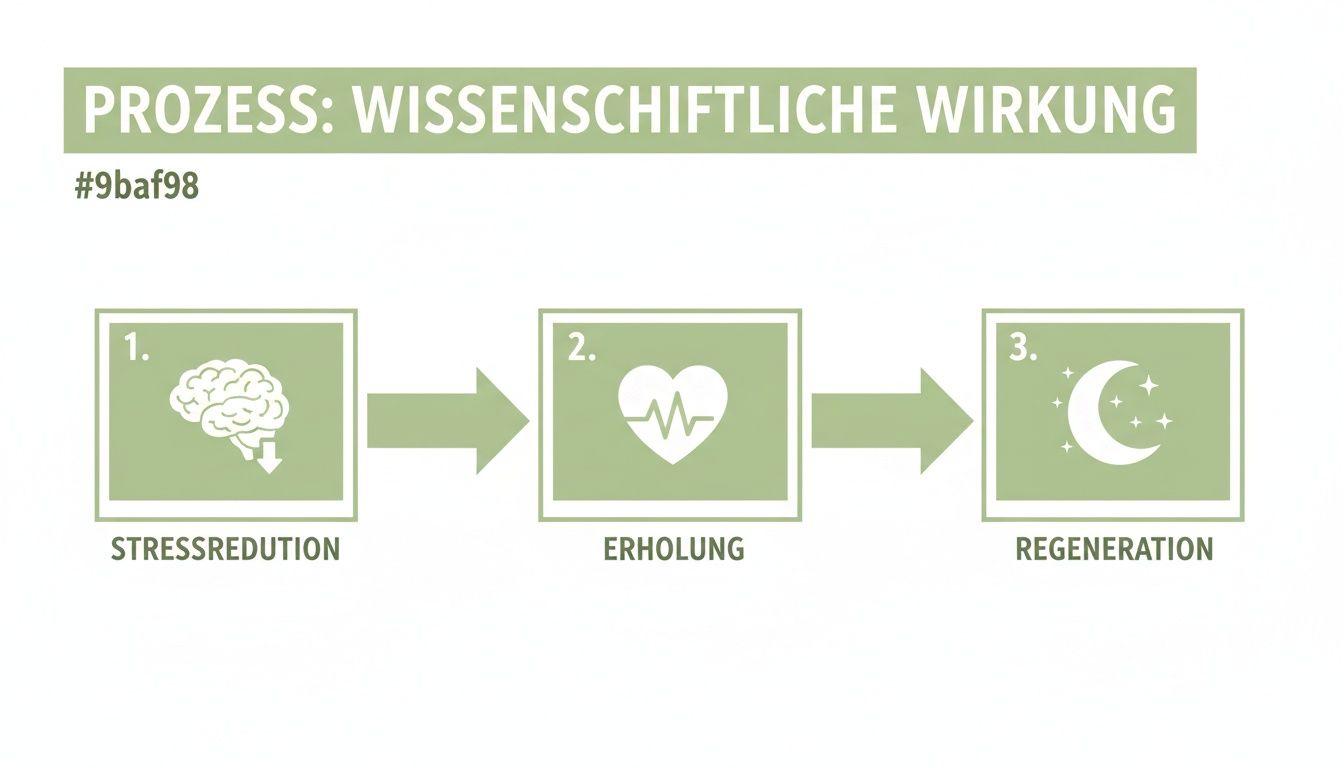 Schema zum Prozess der wissenschaftlichen Wirkung: Stressreduktion, Erholung und Regeneration werden dargestellt.